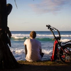 SmartMotion E-20 Folding Frame E-Bike