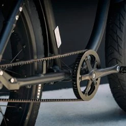 Vallkree The Spirit Horse Belt Drive 500 E-Bike 12 Vallkree The Spirit Horse Belt Drive 500 E-Bike