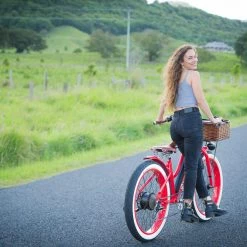 Vallkree The Street Gypsy Step Through 250 E-Bike