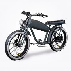 Vallkree The Moon Dog Twin Seat 250 E-Bike 15 Vallkree The Moon Dog Twin Seat 250 E-Bike