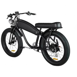 Vallkree The Moon Dog Twin Seat 500 E-Bike